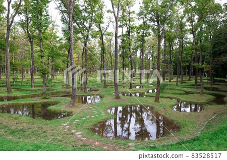 Junya Ishigami's Art Biotop Nasu Water Garden 8 Junya Ishigami's Art Biotop Nasu Water Garden 8 83528517