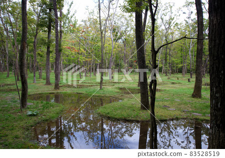 Junya Ishigami's Art Biotop Nasu Water Garden 10 83528519