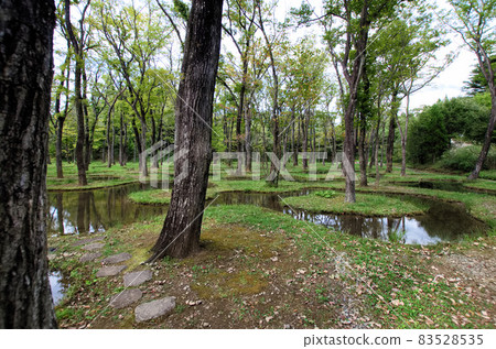 Junya Ishigami's Art Biotop Nasu Water Garden 13 Junya Ishigami's Art Biotop Nasu Water Garden 13 83528535