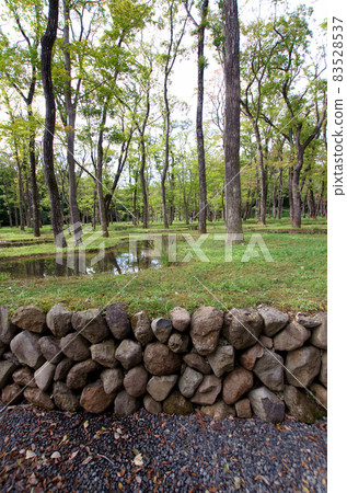 Junya Ishigami's Art Biotop 那須水上花園 15 Junya Ishigami's Art Biotop 那須水上花園 15 83528537