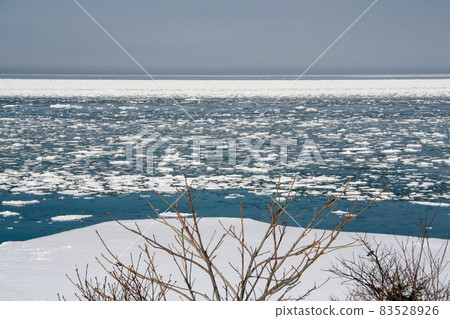 Sea floating ice floating 83528926