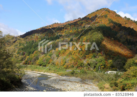 福島縣只見町真田倉山的紅葉與伊那川的水流 83528946