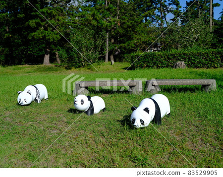 Panda playground equipment Panda playground equipment 83529905