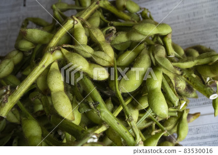 新鮮毛豆(丹波笹山黑毛豆) 新鮮毛豆(丹波笹山黑毛豆) 83530016
