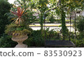 Foreign-style plants and benches 83530923