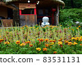 Beautiful landscape of Nami Island, South Korea - July 2016 83531131