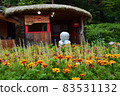 Beautiful landscape of Nami Island, South Korea - July 2016 83531132