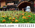 Beautiful landscape of Nami Island, South Korea - July 2016 83531133