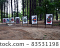 Korean art at Nami Island, South Korea - July 2016 83531198
