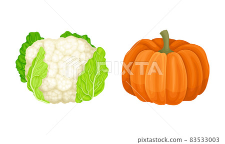 Cauliflower and Orange Pumpkin as Ripe Vegetable and Healthy Raw Food Vector Set Cauliflower and Orange Pumpkin as Ripe Vegetable and Healthy Raw Food Vector Set 83533003