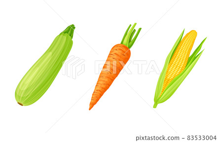 Marrow and Carrot as Ripe Vegetable and Healthy Raw Food Vector Set Marrow and Carrot as Ripe Vegetable and Healthy Raw Food Vector Set 83533004