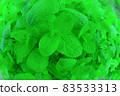 Fresh mint leaves [fish eye photography] 83533313