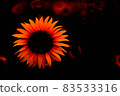 Gunma Prefecture: Sunflower field [Sunflower at dusk] 83533316