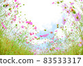 Cosmos field: One side of cosmos [fisheye photography] 83533317