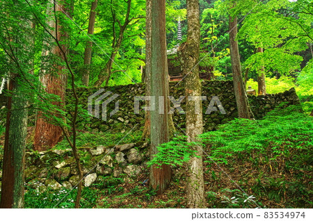新綠橫倉寺的三層寶塔和石牆：岐阜 83534974