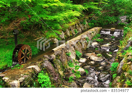 新鮮的綠色橫倉寺溪流和水車：岐阜 83534977