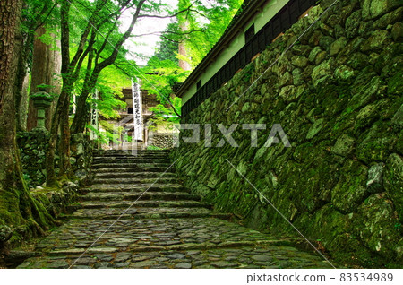 新鮮的綠色橫倉寺仁王和石垣:岐阜 新鮮的綠色橫倉寺仁王和石垣:岐阜 83534989