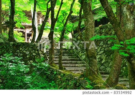 新鮮的綠色橫倉寺仁王和石垣:岐阜 新鮮的綠色橫倉寺仁王和石垣:岐阜 83534992
