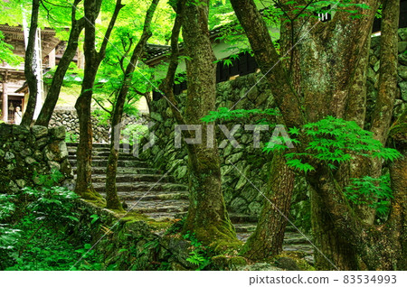 新鮮的綠色橫倉寺仁王和石垣:岐阜 新鮮的綠色橫倉寺仁王和石垣:岐阜 83534993