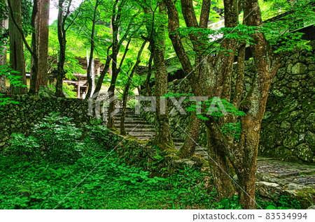 新鮮的綠色橫倉寺仁王和石垣:岐阜 新鮮的綠色橫倉寺仁王和石垣:岐阜 83534994