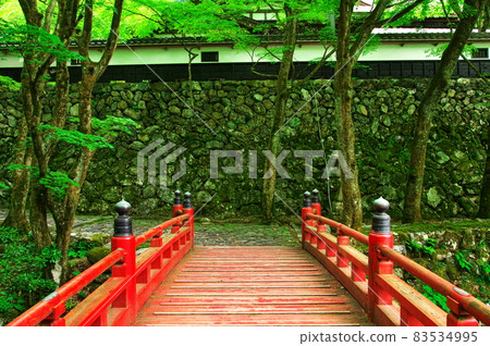 Fresh green Yokokuraji Temple: Gifu Fresh green Yokokuraji Temple: Gifu 83534995