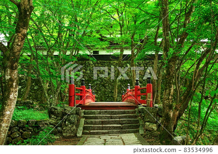Fresh green Yokokuraji Temple: Gifu Fresh green Yokokuraji Temple: Gifu 83534996