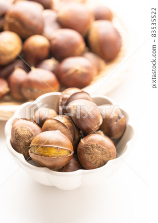 Chestnut Chestnut 83535522