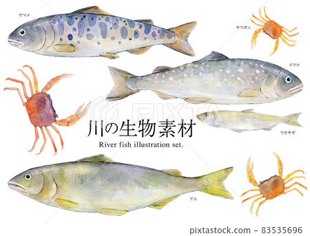 River creature set illustration River creature set illustration 83535696