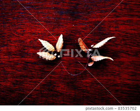 枯葉櫸樹葉 [秋季] [冬季] [背景] 83535702