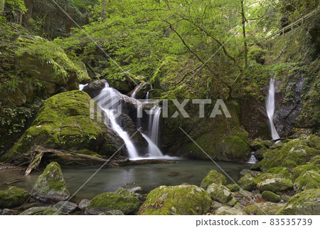 Uguisu Waterfall (Kamiyama Town, Myozai District, Tokushima Prefecture) 83535739