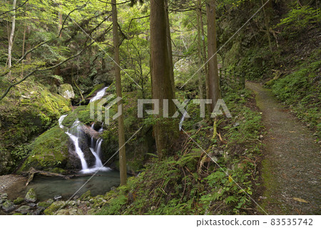 Uguisu Waterfall (Kamiyama Town, Myozai District, Tokushima Prefecture) Uguisu Waterfall (Kamiyama Town, Myozai District, Tokushima Prefecture) 83535742