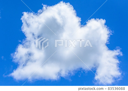 Skydiving Solo High Clouds Blue Skydiving Solo High Clouds Blue 83536088