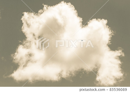 Skydiving Tandem High Clouds Sepia 83536089