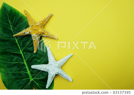 Summer Background concept with green leave and starfish decoration on yellow background Summer Background concept with green leave and starfish decoration on yellow background 83537395