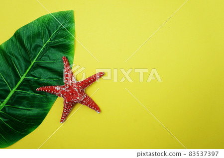 Summer Background concept with green leave and starfish decoration on yellow background Summer Background concept with green leave and starfish decoration on yellow background 83537397