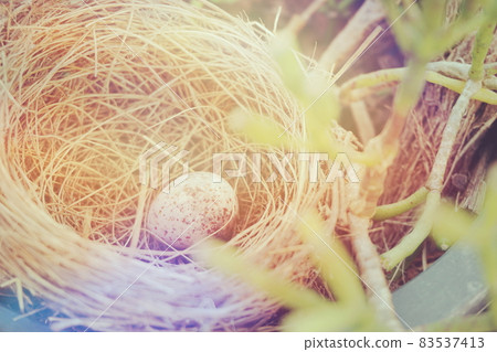 bird nest with egg in the garden 83537413