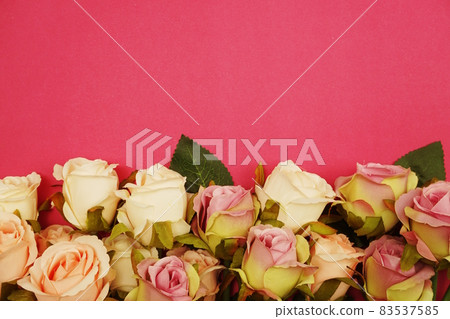 Rose flowers bouquet border with space copy on Pink background 83537585
