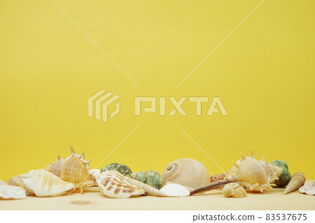 seashell marine decoration with space copy on yellow background seashell marine decoration with space copy on yellow background 83537675