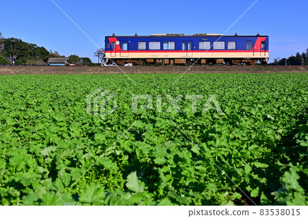 鹿島臨海鐵路和蘿蔔田 鹿島臨海鐵路和蘿蔔田 83538015