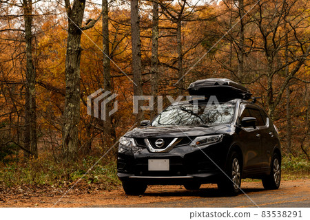 落葉松林和 4x4 83538291