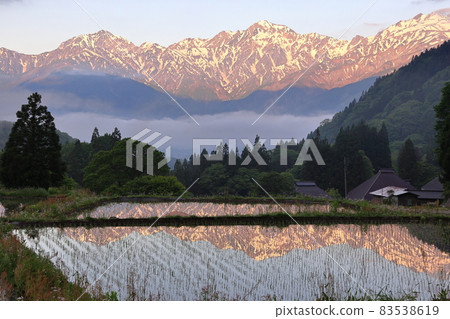 Rice terraces in the blue demon village, showing the mountains of the Alps dyed red in the morning glow and Morgenroth Rice terraces in the blue demon village, showing the mountains of the Alps dyed red in the morning glow and Morgenroth 83538619