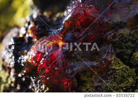 Cherry sap (amber seed) 83538722