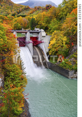 Autumn leaves of Iwachishi Dam in the Saru River valley in full bloom (Hidaka, Hokkaido) 83539365