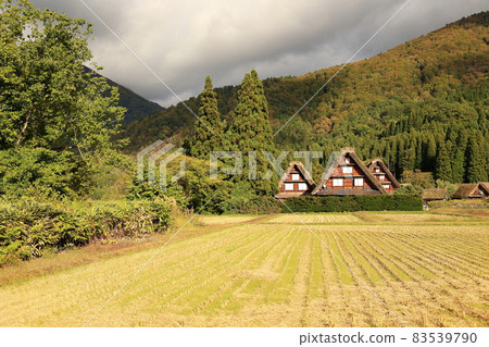 Shirakawa-go: Gassho-zukuri and autumn leaves dyed in the setting sun 83539790