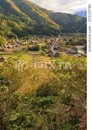白川鄉:合掌造和夕陽染紅的紅葉 白川鄉:合掌造和夕陽染紅的紅葉 83539796