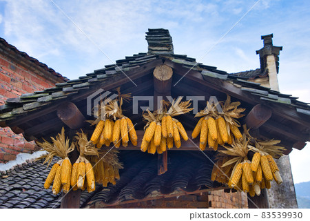 Yellow corn, In Huangling, this scene of drying crops is called "sunny autumn". 83539930