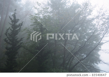 霧樹《北斗市》 83540647