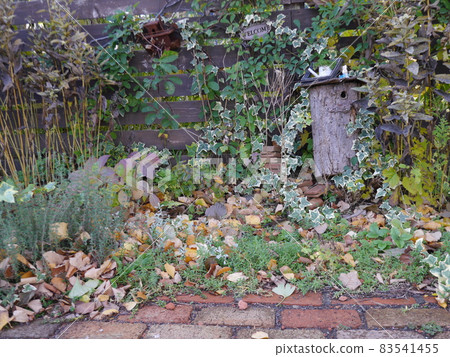 秋季深化園 83541455