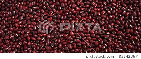 紅豆 豆子 adzuki bean red raw あずき 小豆 アズキ 83542367