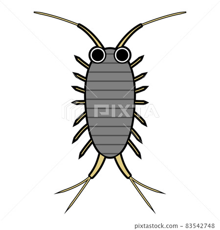 Fukushima Fukushima 83542748